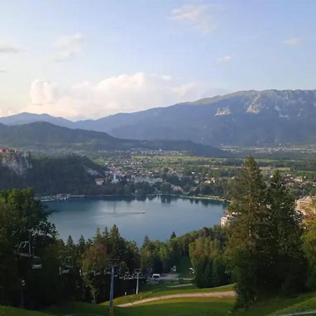 Zabreznica Apartment Bee Near Bled מראה חיצוני תמונה
