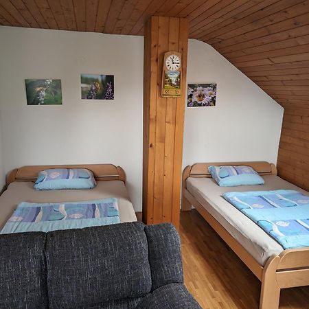 Zabreznica Apartment Bee Near Bled מראה חיצוני תמונה