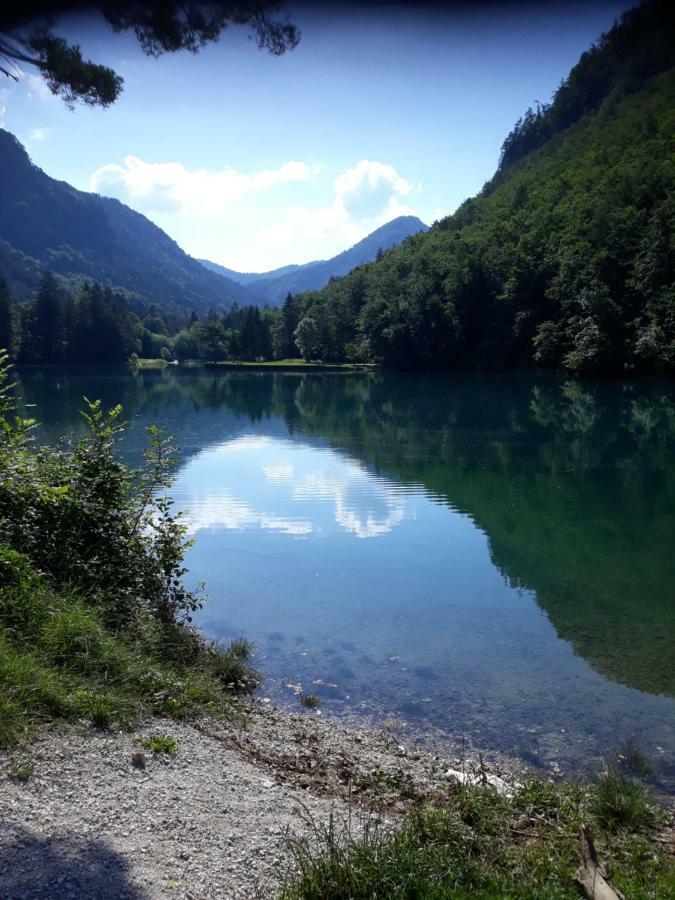 Zabreznica Apartment Bee Near Bled מראה חיצוני תמונה